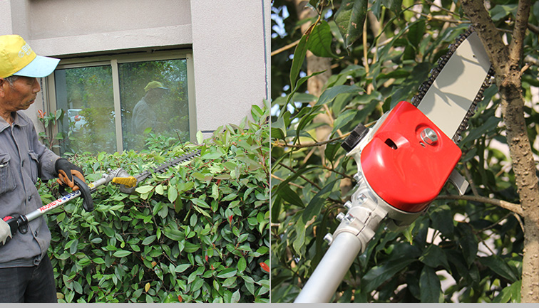 Каковы навыки резки инструментов при уходе за садом?