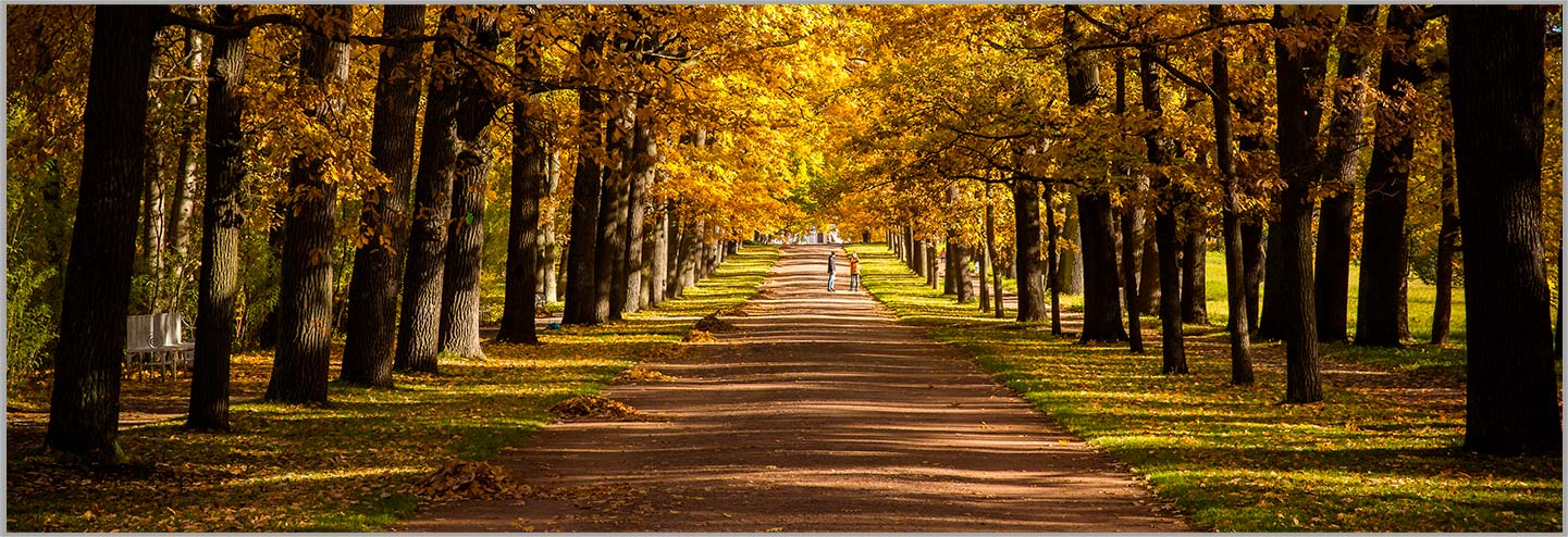 НИНБО AOSHENG MACHINE CO., LTD.